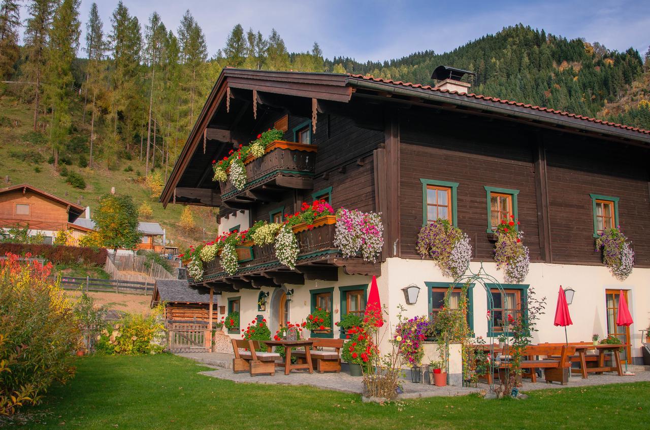 Ferienwohnung Brotzeitalm Pfarrwerfen Exterior foto
