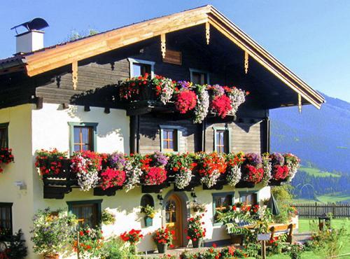 Ferienwohnung Brotzeitalm Pfarrwerfen Exterior foto